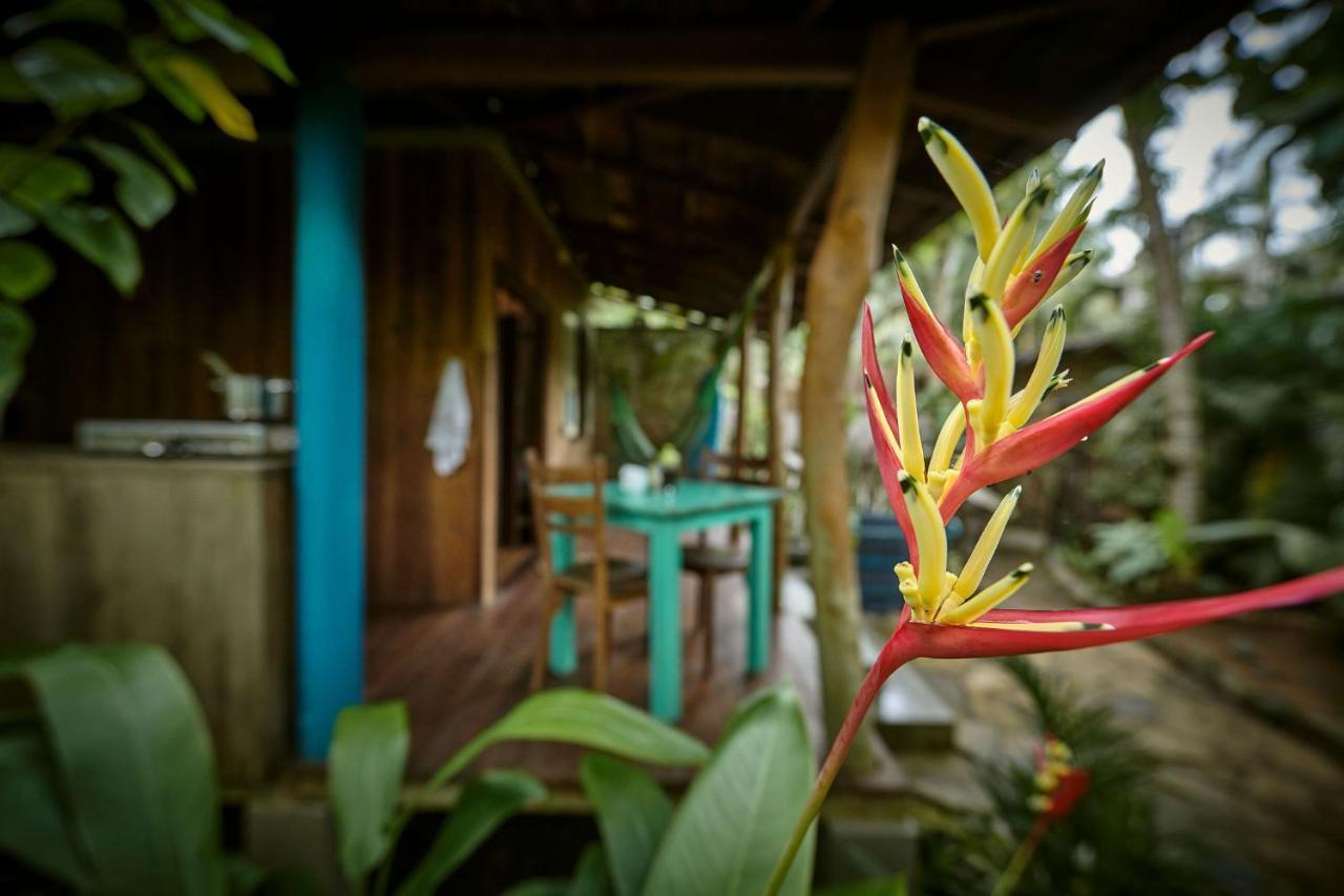 Casa Vana Hiriketiya 디크웰라 외부 사진